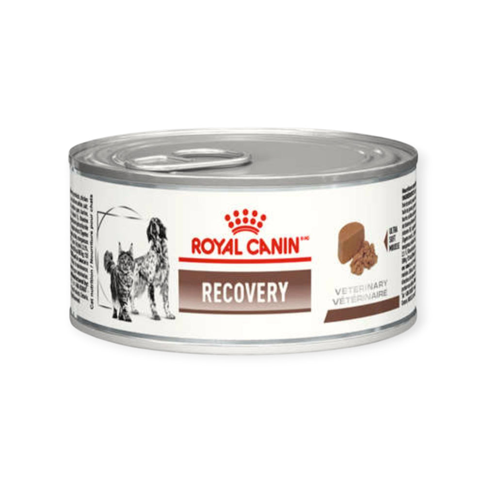 Ração Úmida Royal Canin Recovery Cães e Gatos 195 g